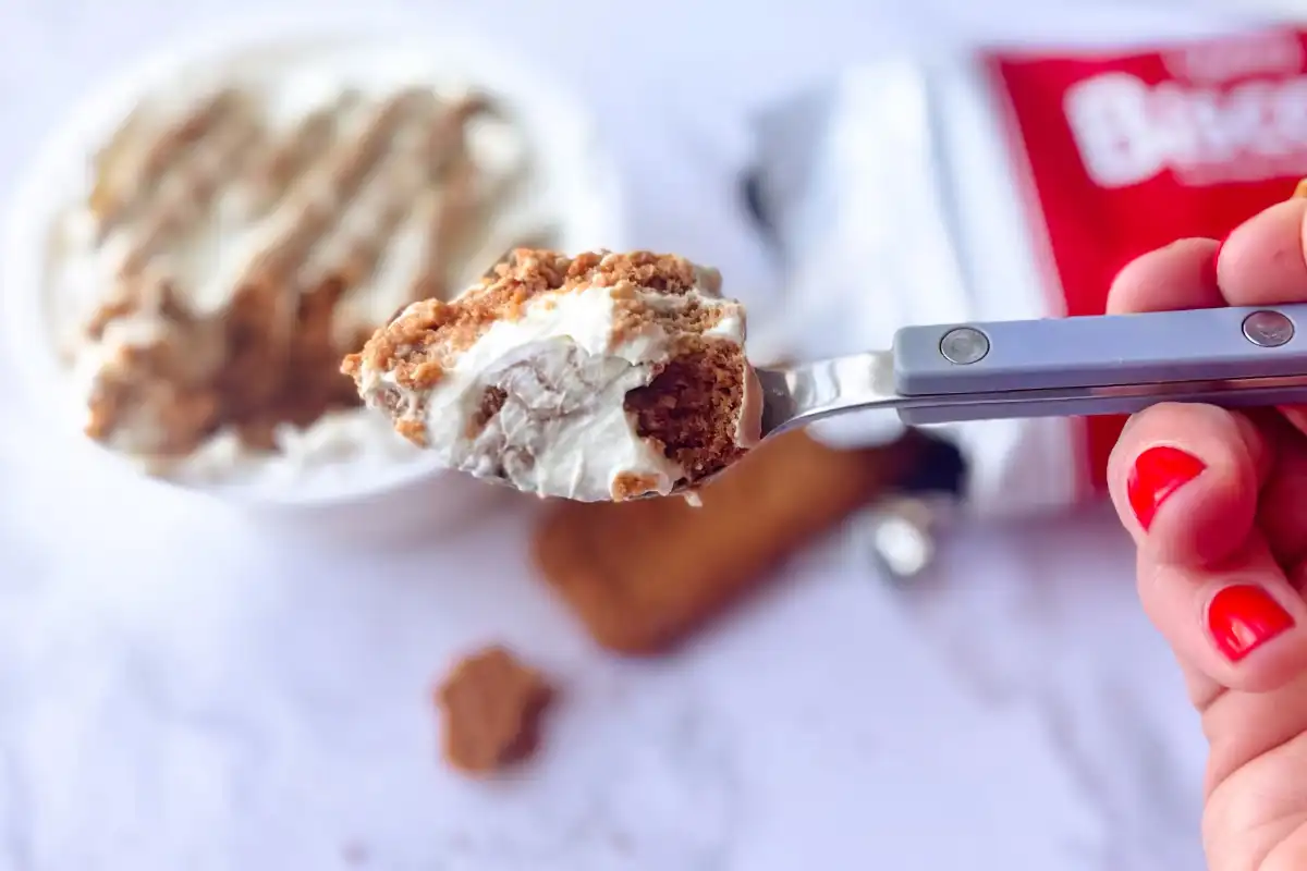 Tired of the Viral Japanese Biscoff Cheesecake? Try These 5 Quick Recipes