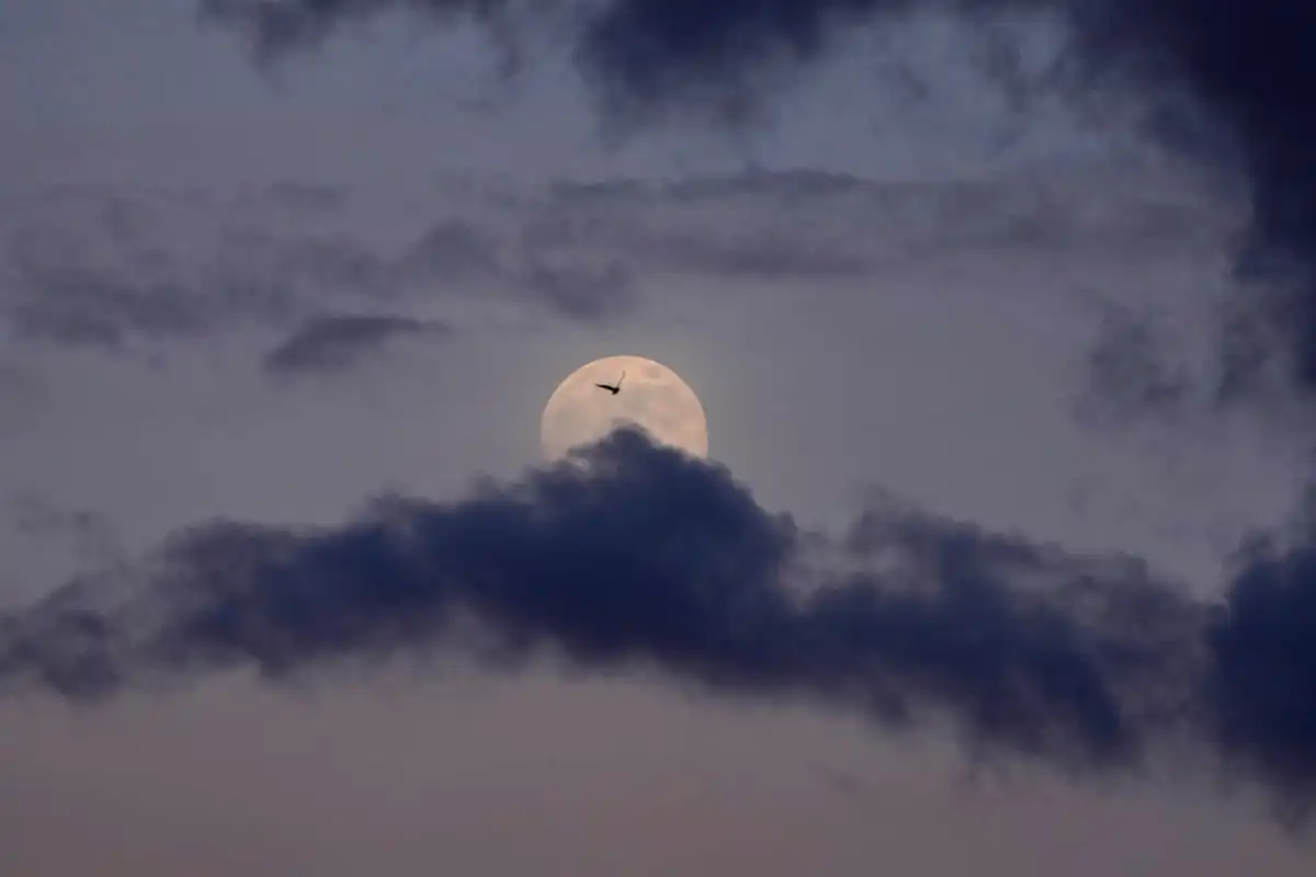First Supermoon of 2026 Lights Up the Sky Tonight