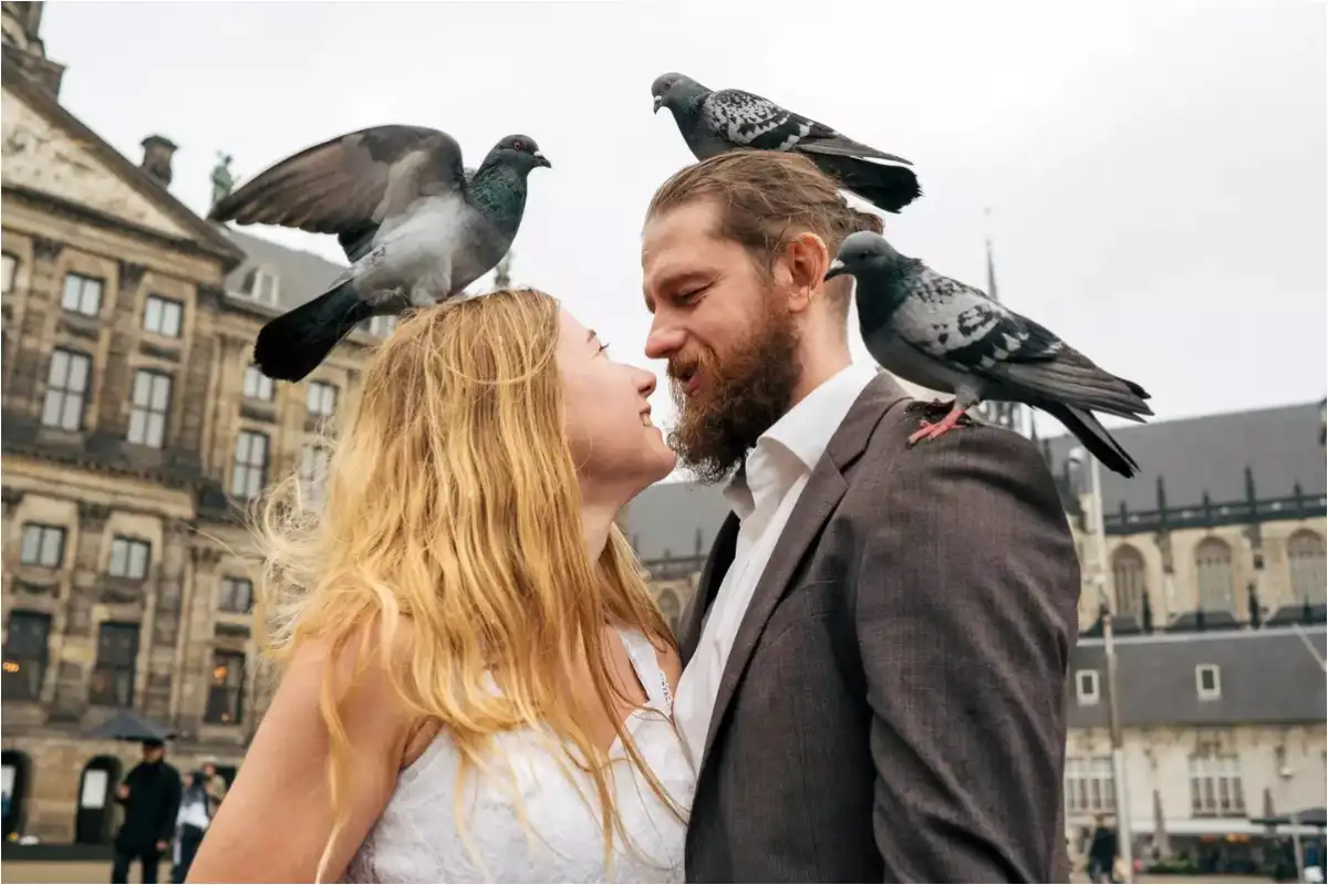 What Is Viral Bird Theory Test