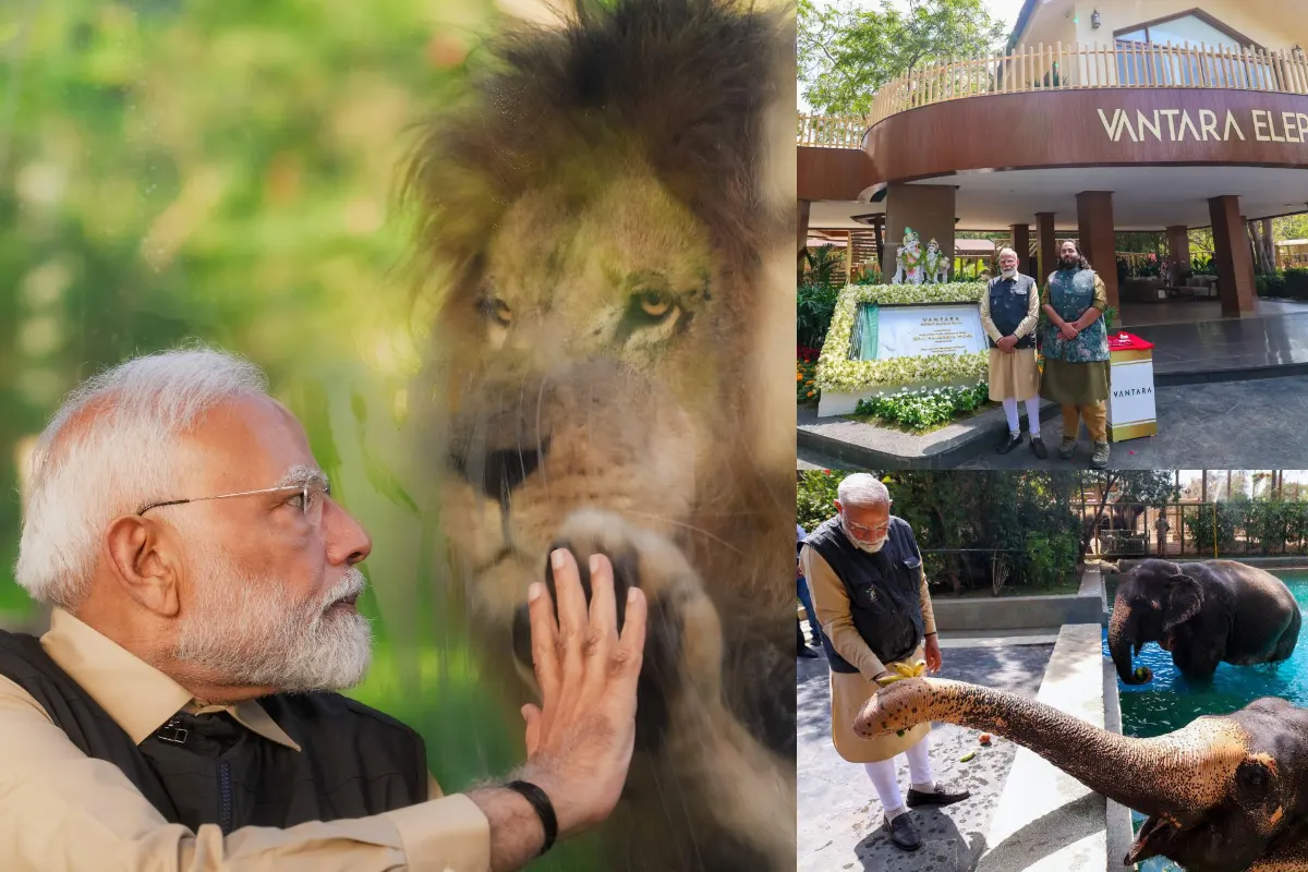 Modi Government Puts Asia’s Richest Man Mukesh Ambani in Trouble