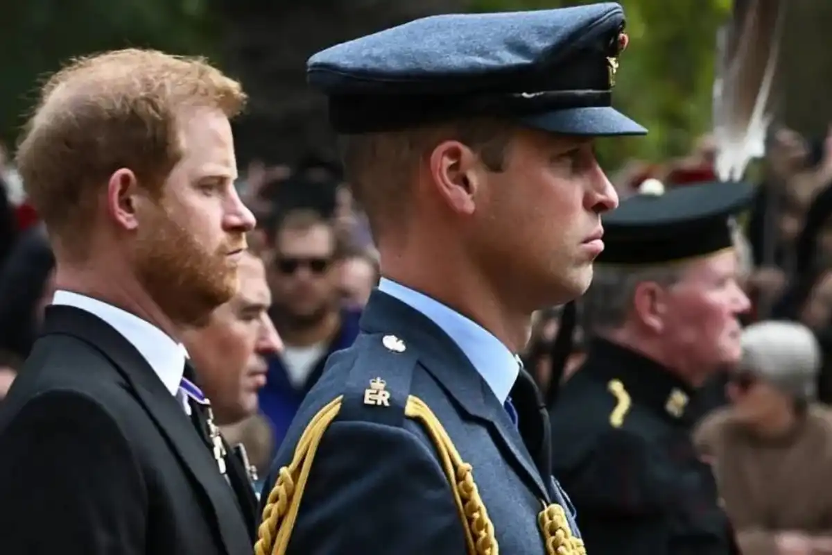 Prince Harry Accused of Taking a ‘Cheap Shot’ at Prince William