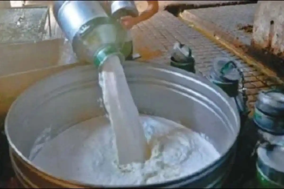 Karachi Dairy Farmers Demand Milk Price Hike to Rs300 Per Litre After Eid