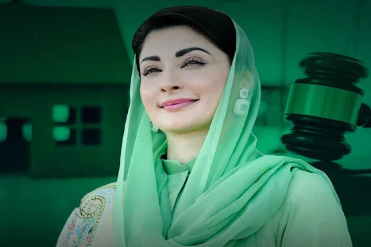 CM Punjab Greenlights Model Village Project Expansion