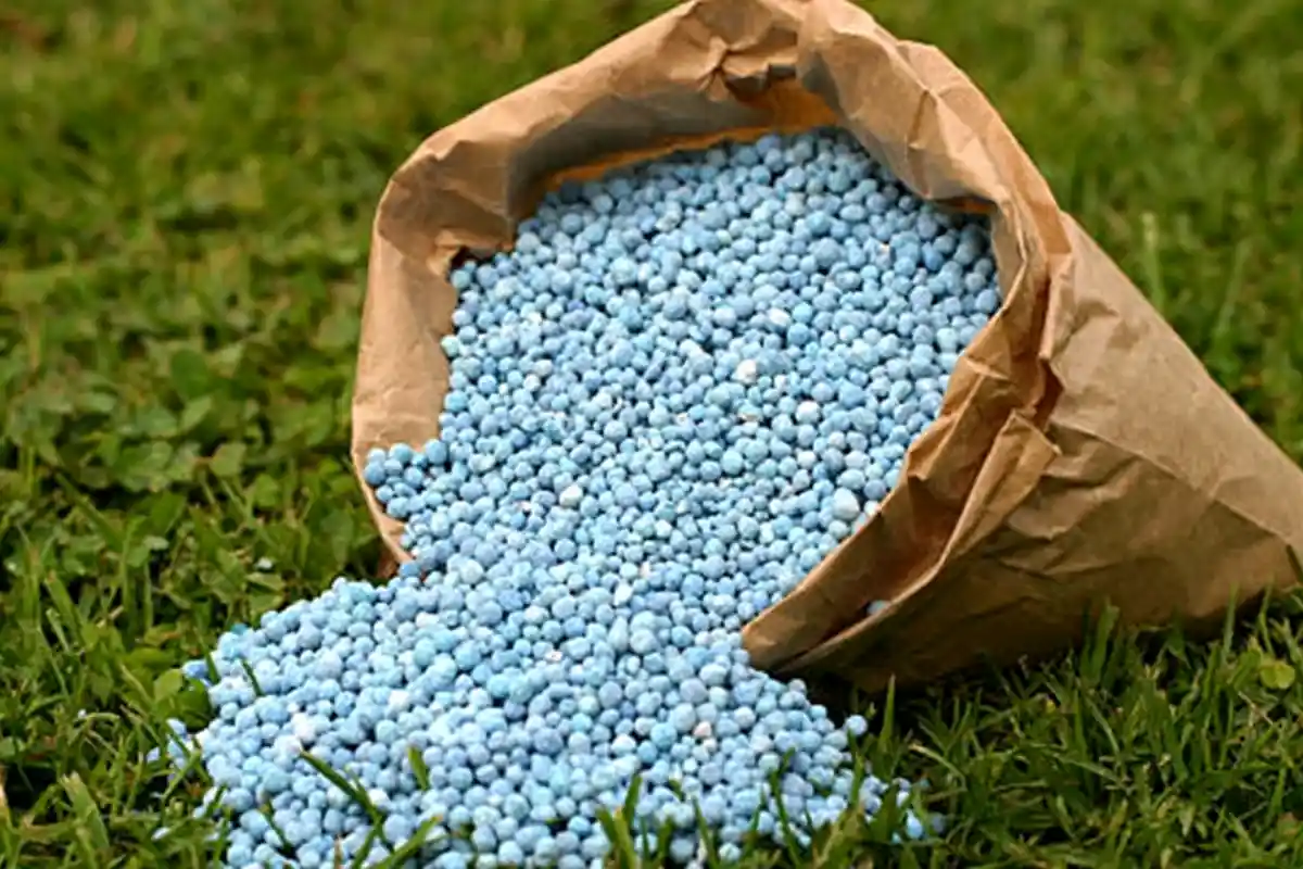 Urea prices expected to increase again in Pakistan