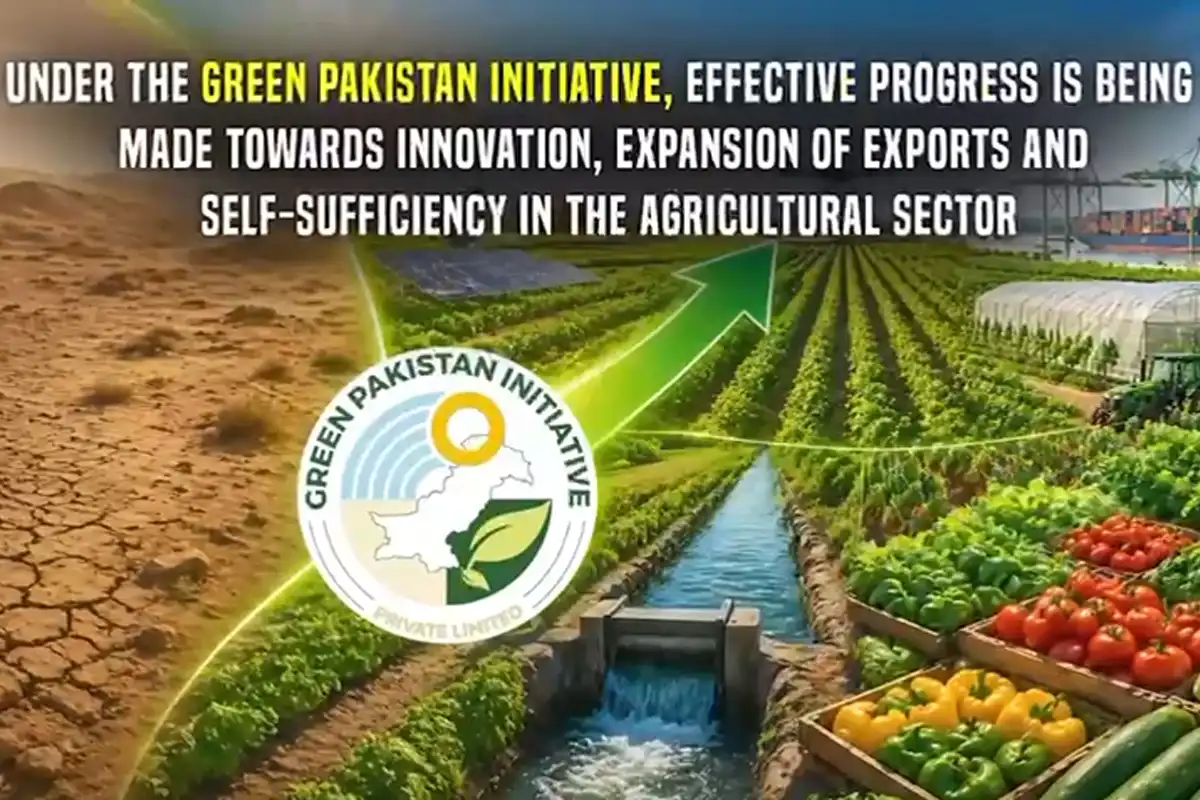Barren Land in Bhakkar Transformed into Modern Agricultural Hub Under Green Pakistan Initiative