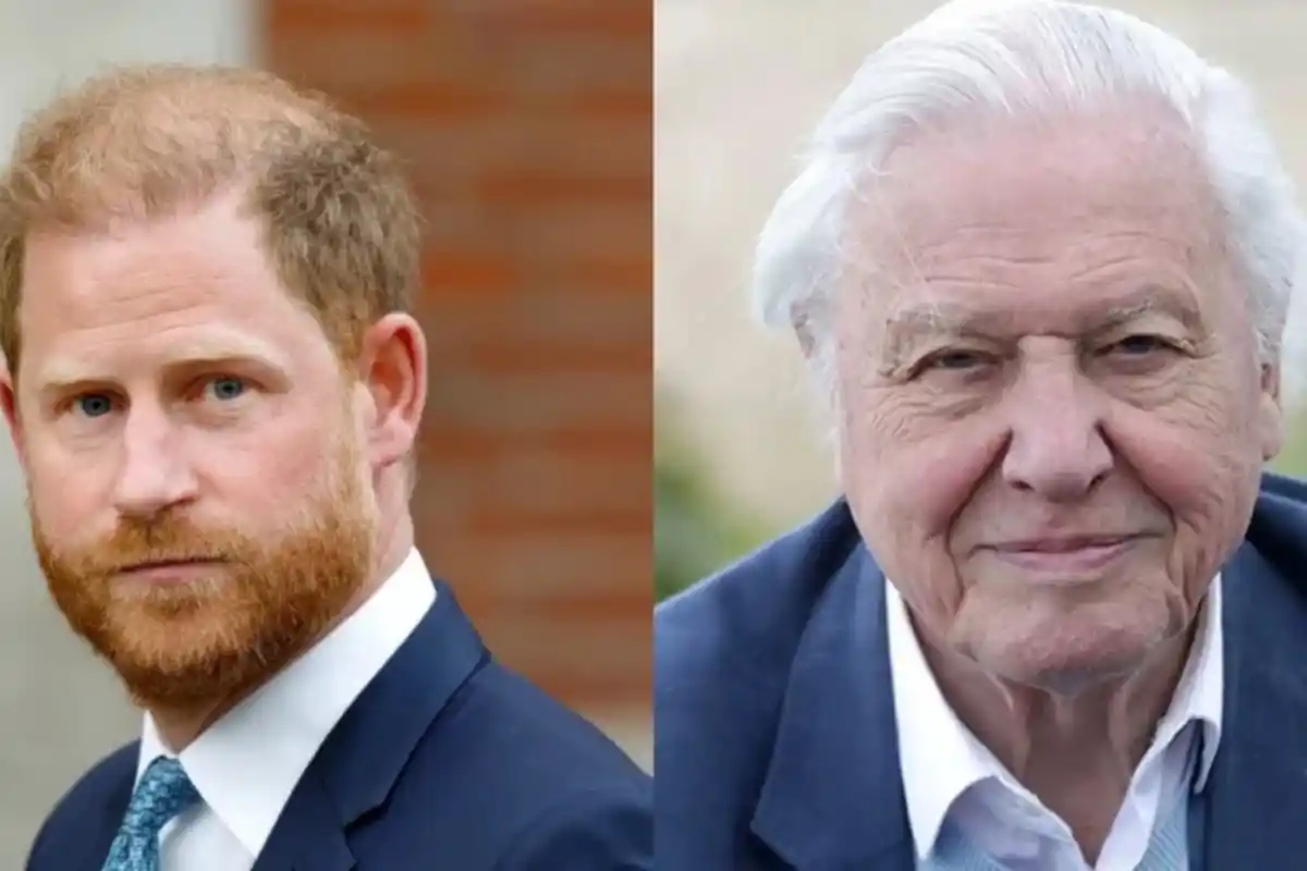 Prince Harry Pays Heartfelt Tribute to Sir David Attenborough at 100