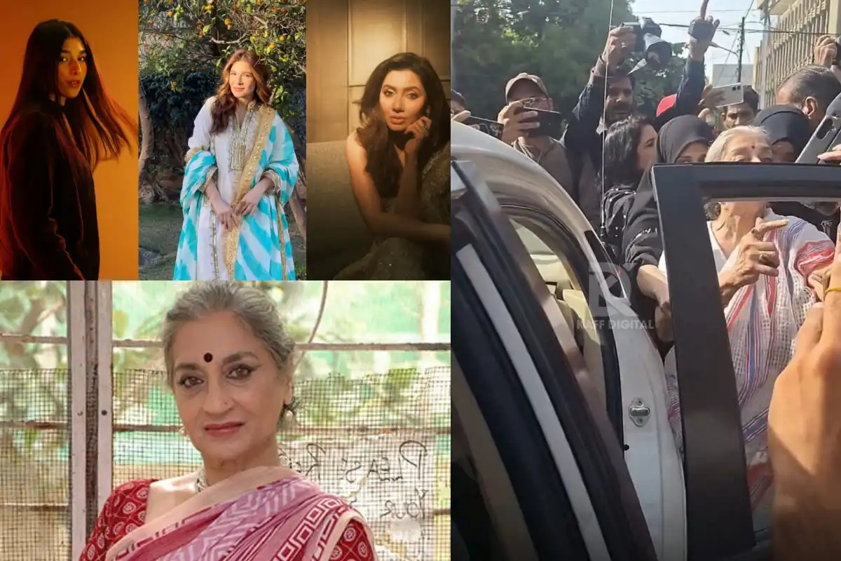 Sheema Kermani’s Arrest Video Goes Viral, Celebrities and Activists Speak Out