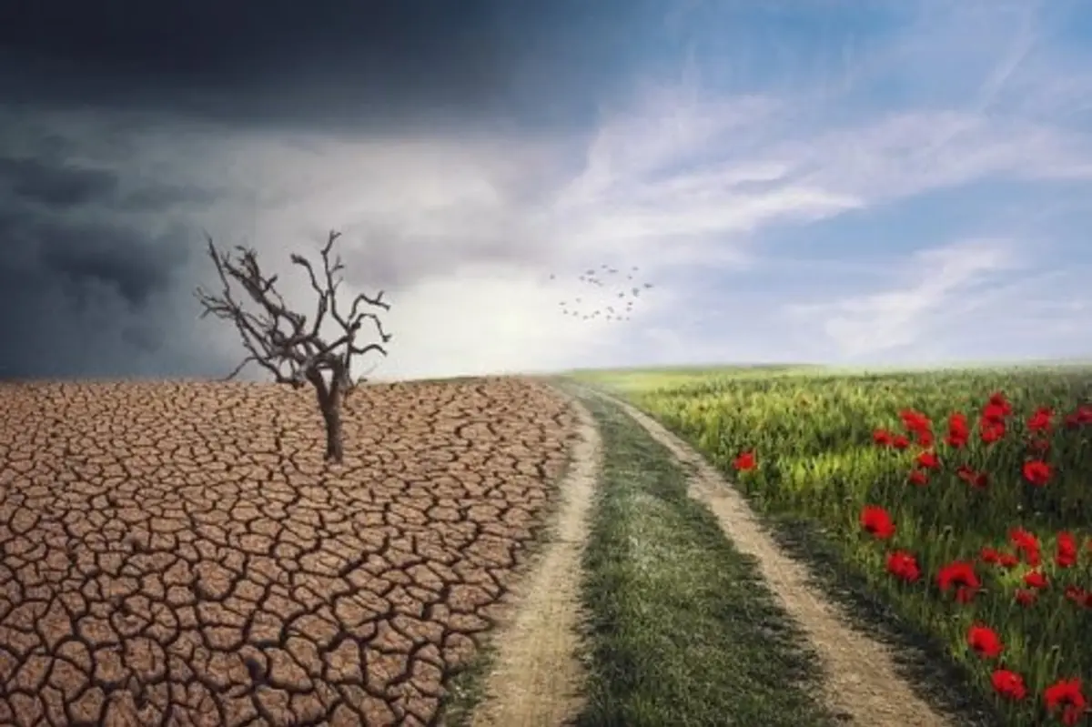Philosophy at Dusk: Pakistan and the Evolution of Restless Society