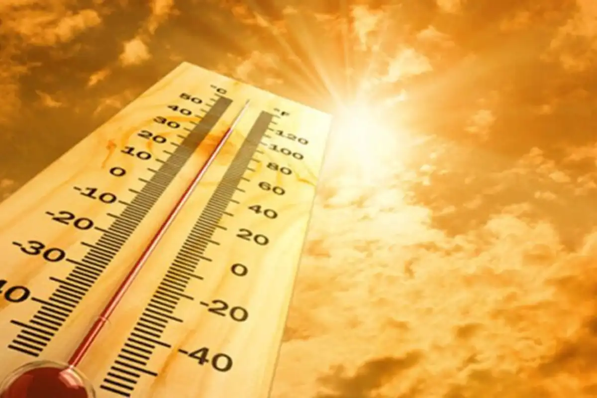 Dadu Hits 51.5°C — Sindh’s Highest Temperature This Season