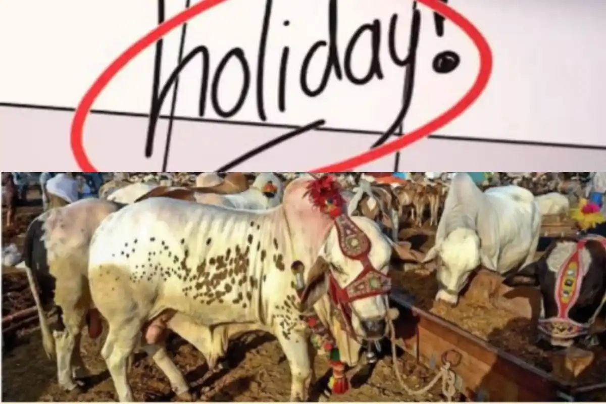 Pakistan Announces 3-Day Public Holiday for Eid ul Adha 2026 from May 26 to 28