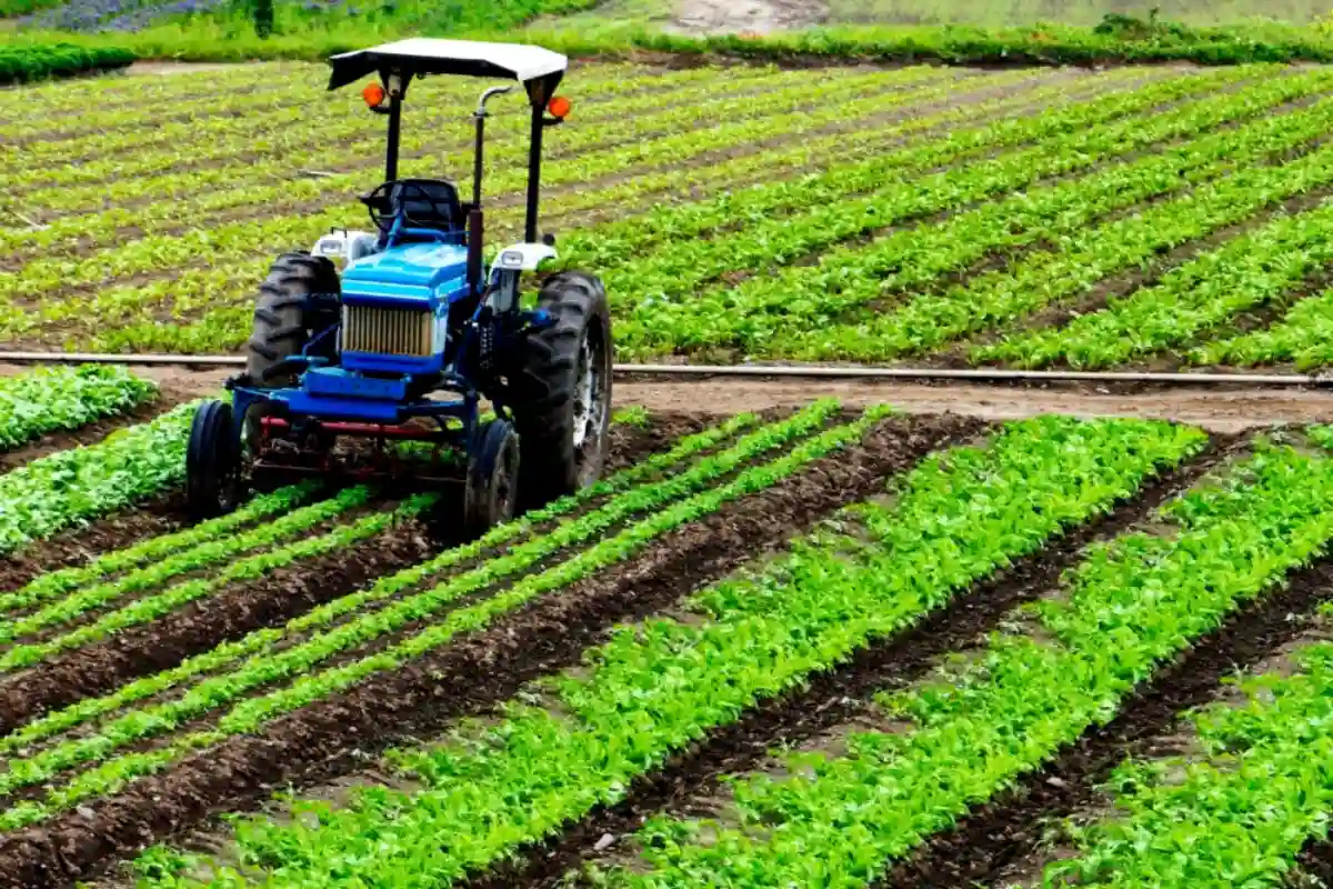 Economic survey 2025-26 shows growth in agriculture and livestock sectors