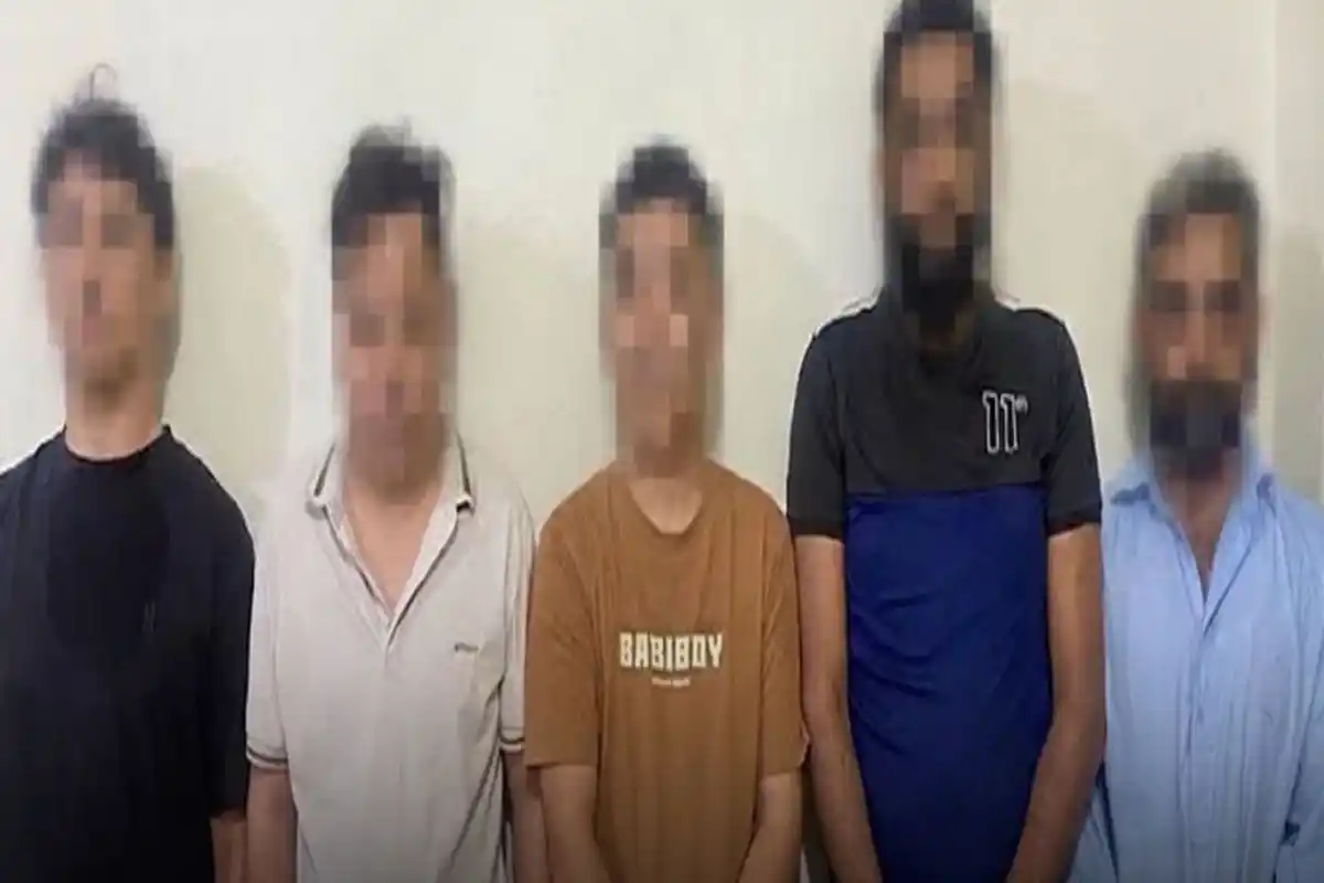 FIA Busts International Human Placenta Smuggling Network in Islamabad, Five Suspects Arrested