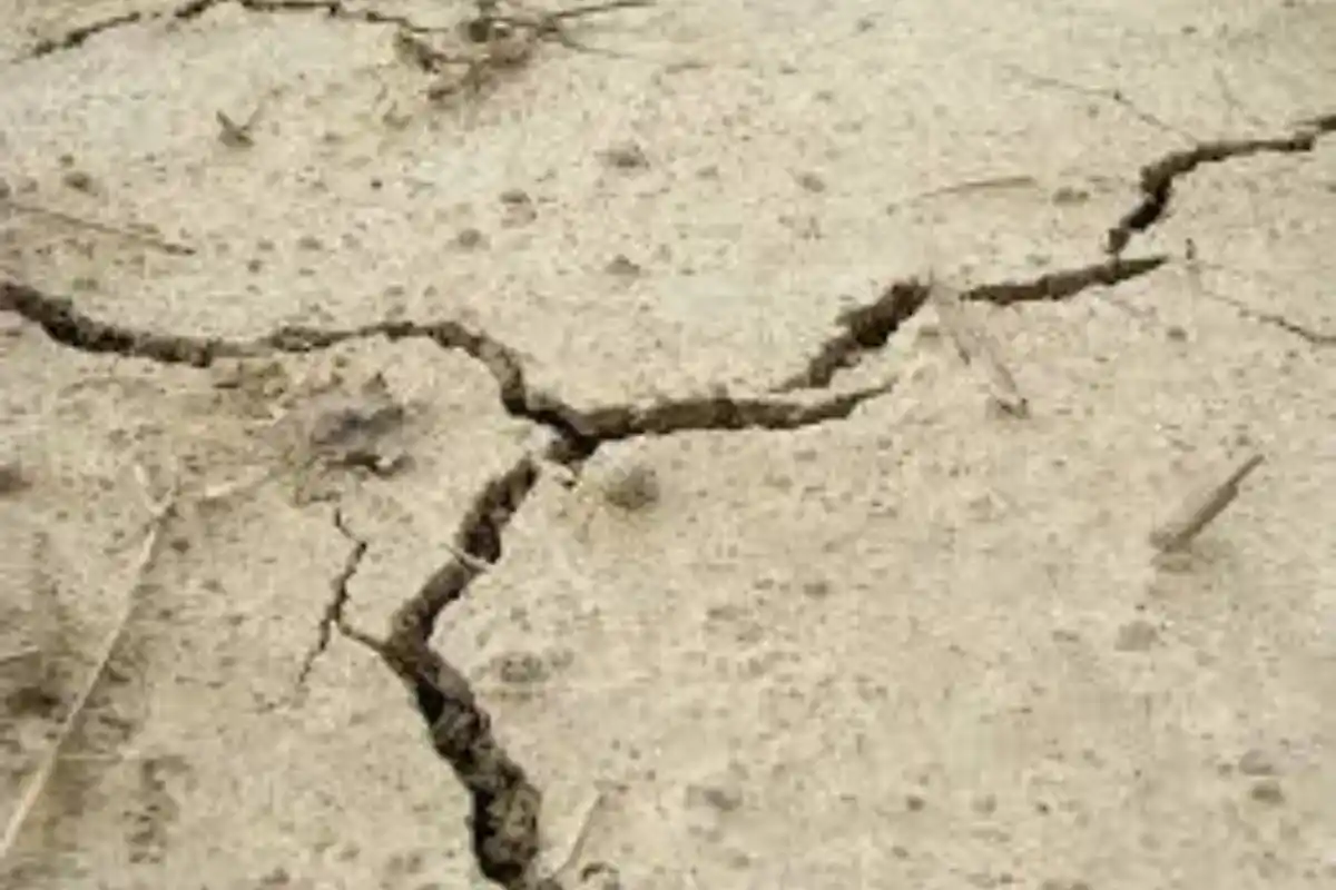 Balochistan Hit by Second Earthquake in One Day: 5.1 Magnitude Tremor Near Kohlu at 17km Depth, No Casualties Reported