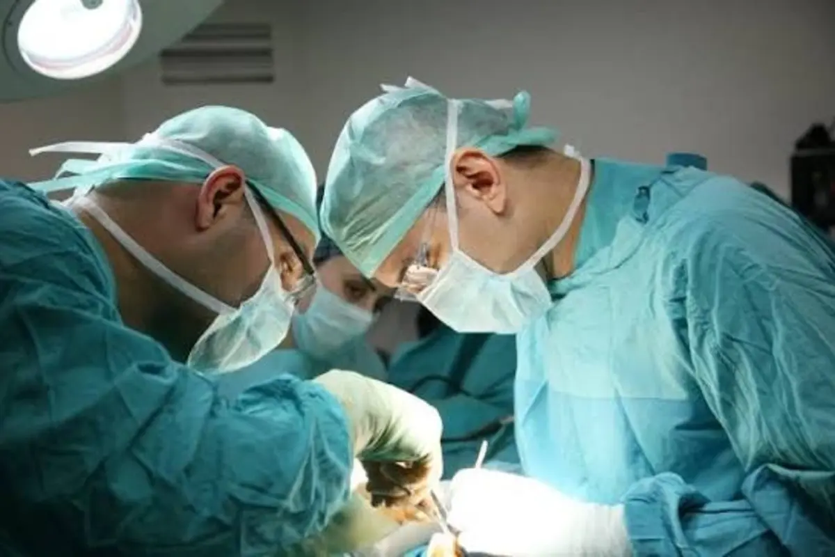 Shiraz Emerges as Iran’s Leading Organ Transplant Hub