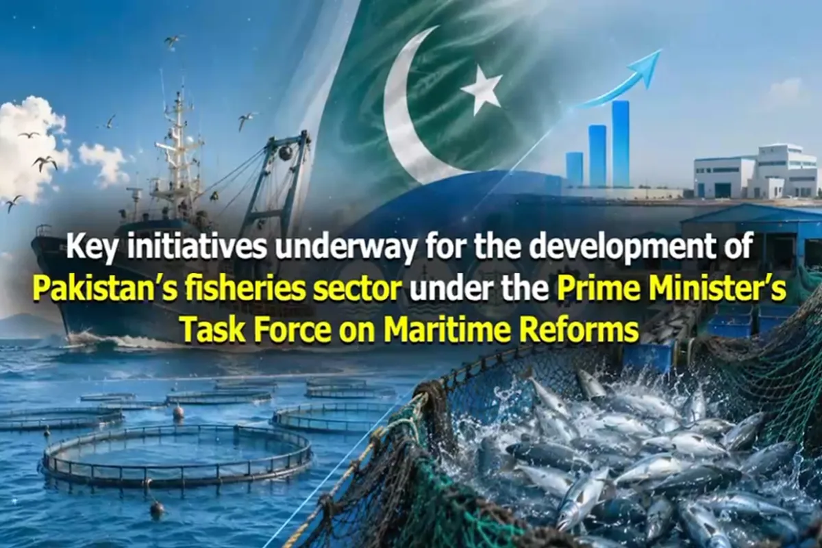 PM’s Maritime Reforms Task Force Promotes Shrimp Farming to Boost Pakistan’s Aquaculture Exports