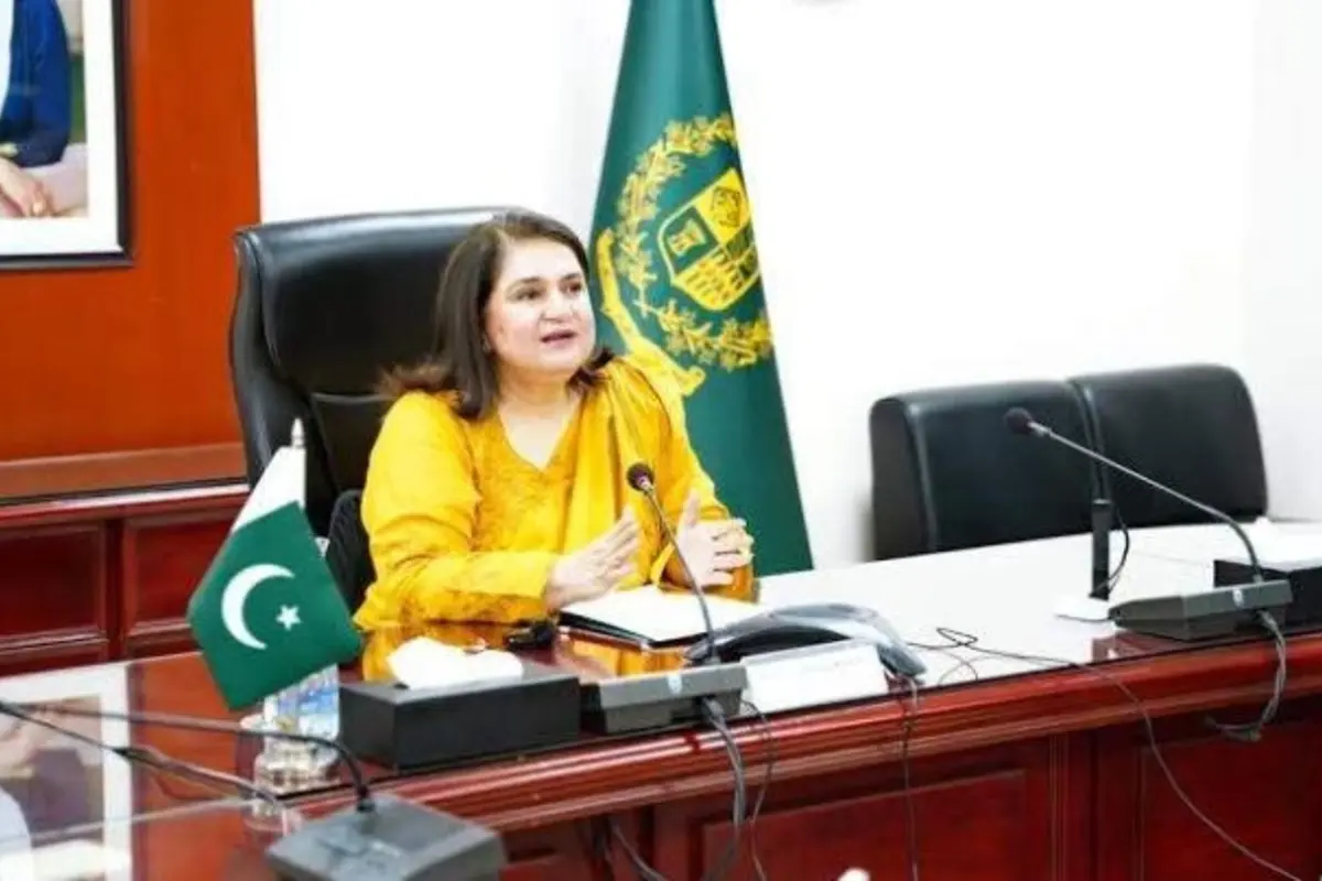 Senate Committee Discusses Digital Payments and Staffing at Benazir Income Support Program