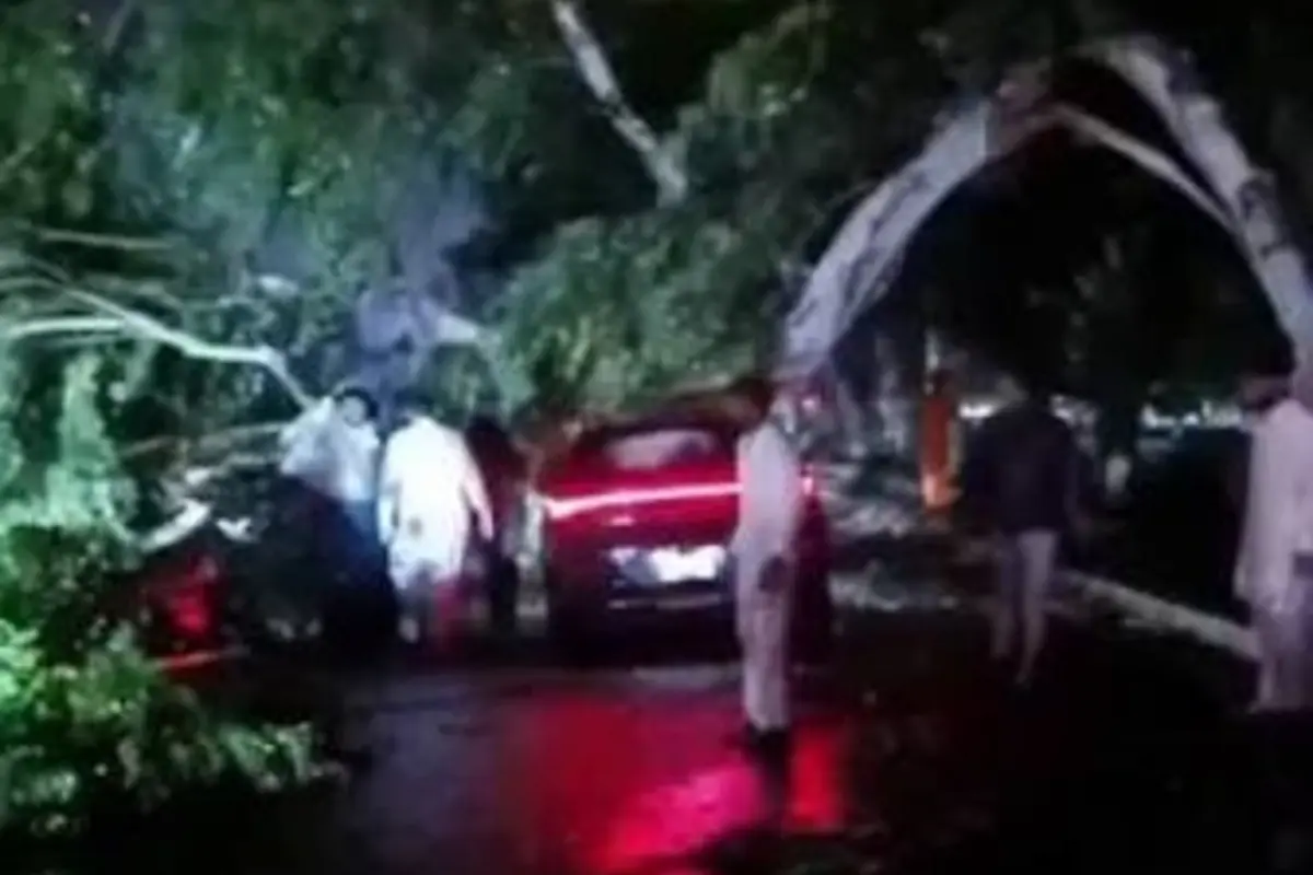 Strong Winds in Islamabad’s F-7 Area Topple Tree Onto Vehicle, Cause Damage