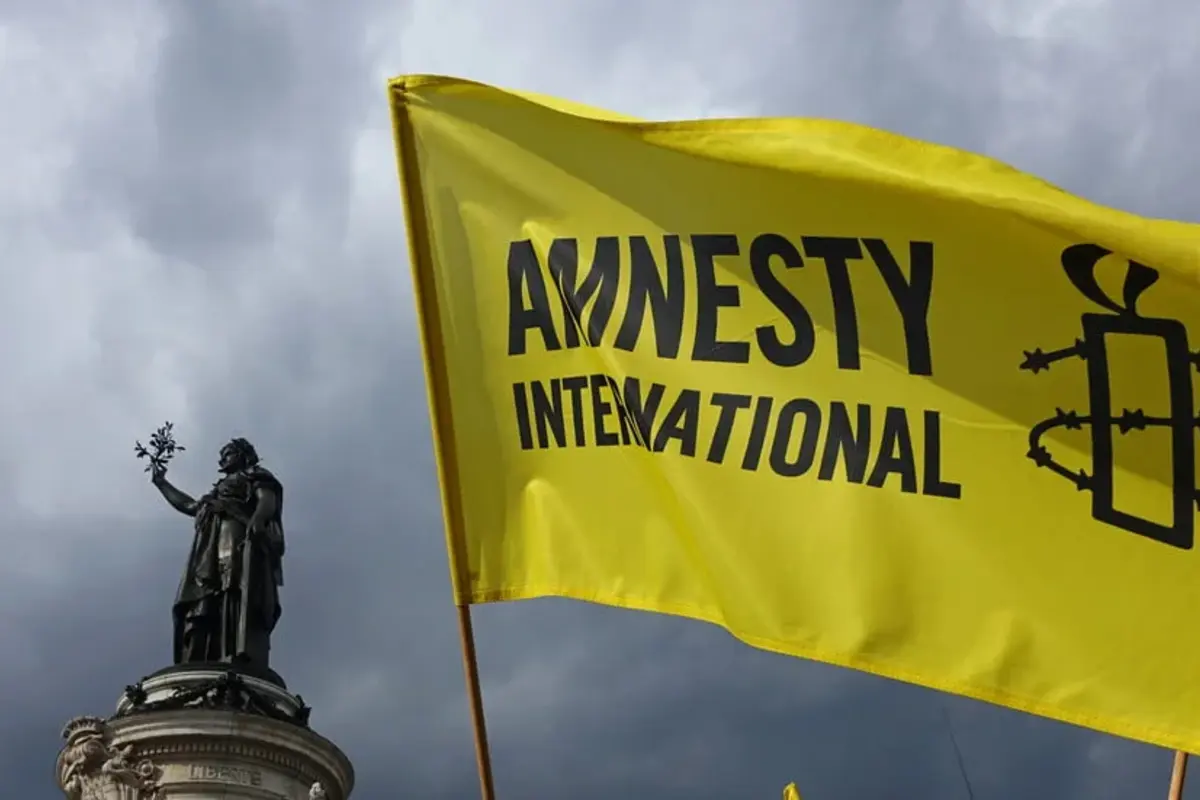 Amnesty International Accuses India of Supplying Arms to Israel During Gaza War