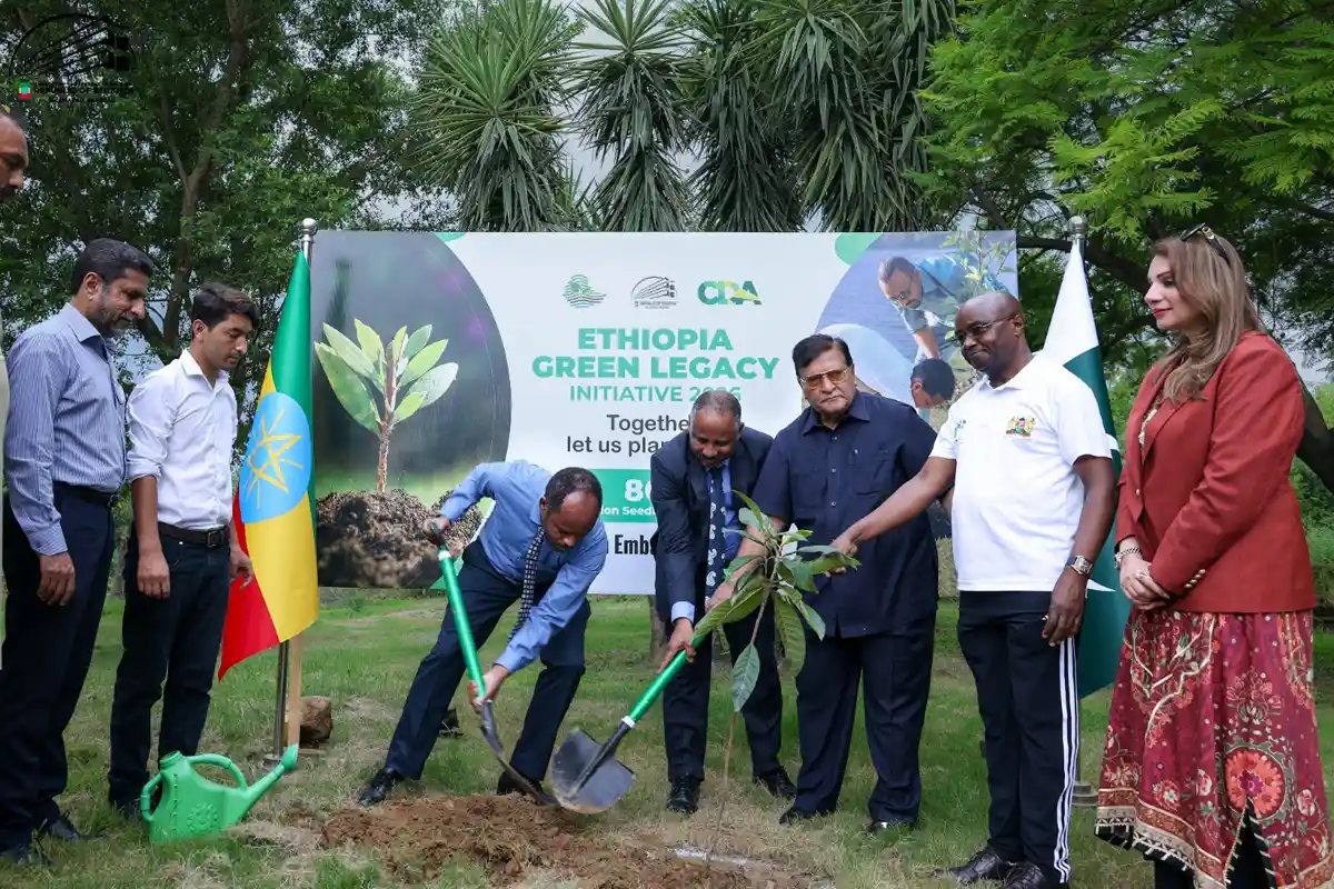 Ethiopian Embassy Holds Plantation Drive under Green Legacy Initiative