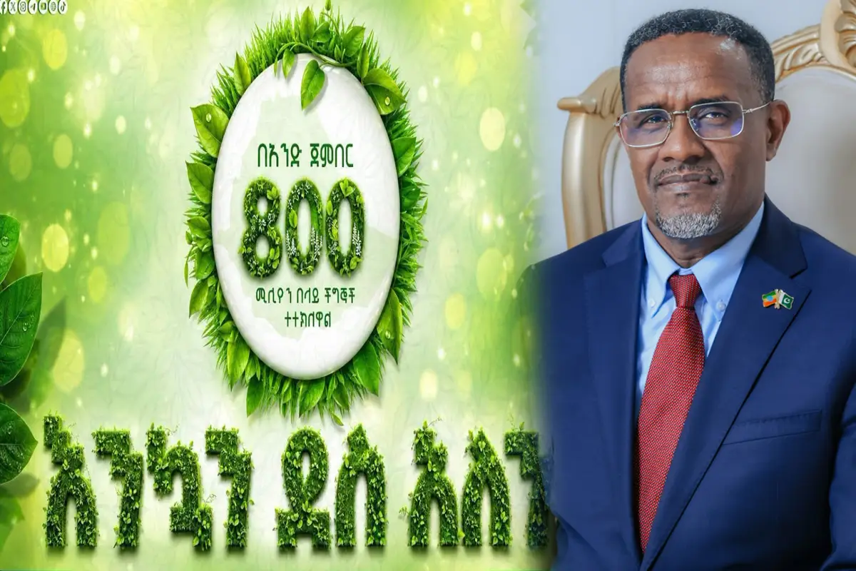 A Day to Remember: Ethiopia Plants 800 Million Trees in Single-Day