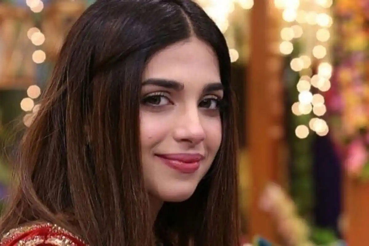Sonya Hussyn Questions Meaning of Independence Day Celebrations