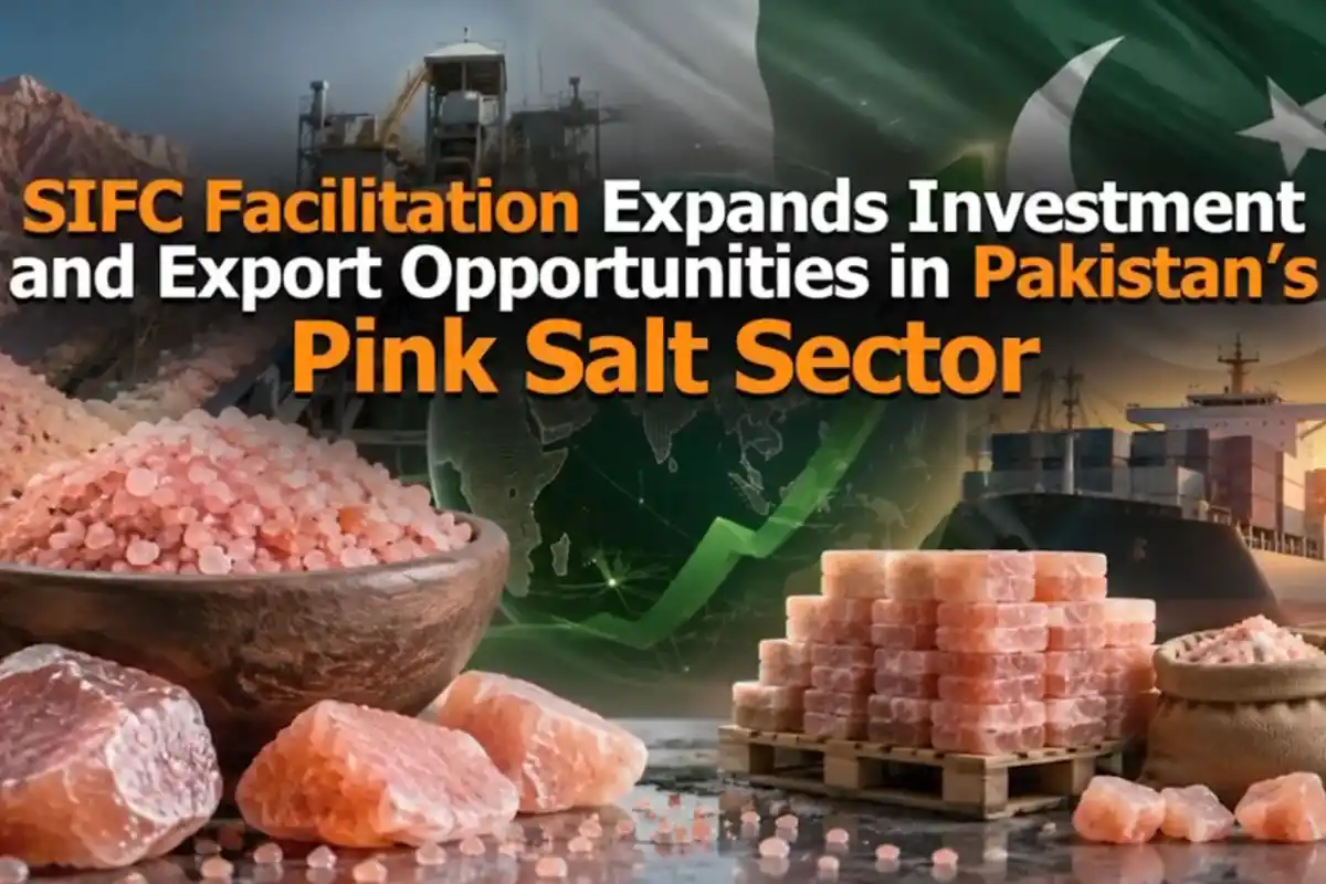 SIFC Helps Expand Investment and Export Opportunities in Pink Salt Sector