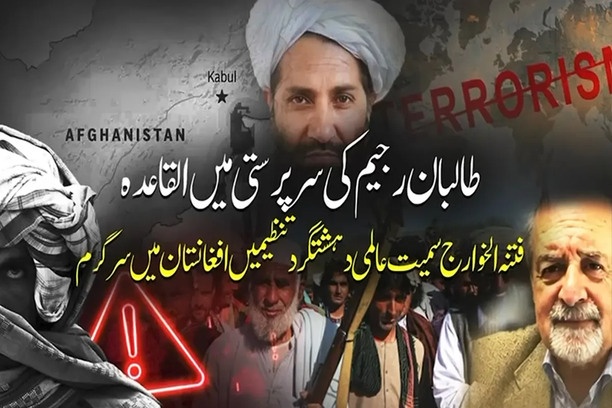 Former UN Official Says Taliban Provides Safe Haven to Al-Qaeda, TTP