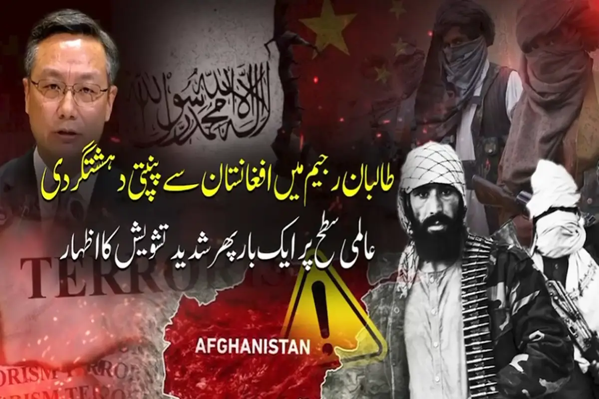 China Warns of Rising Terror Threats From Afghanistan, Urges Taliban Action