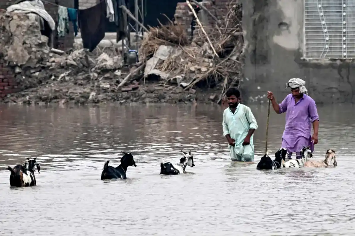 Heavy rain floods Rawalpindi, Islamabad; Leh River residents ordered to evacuate