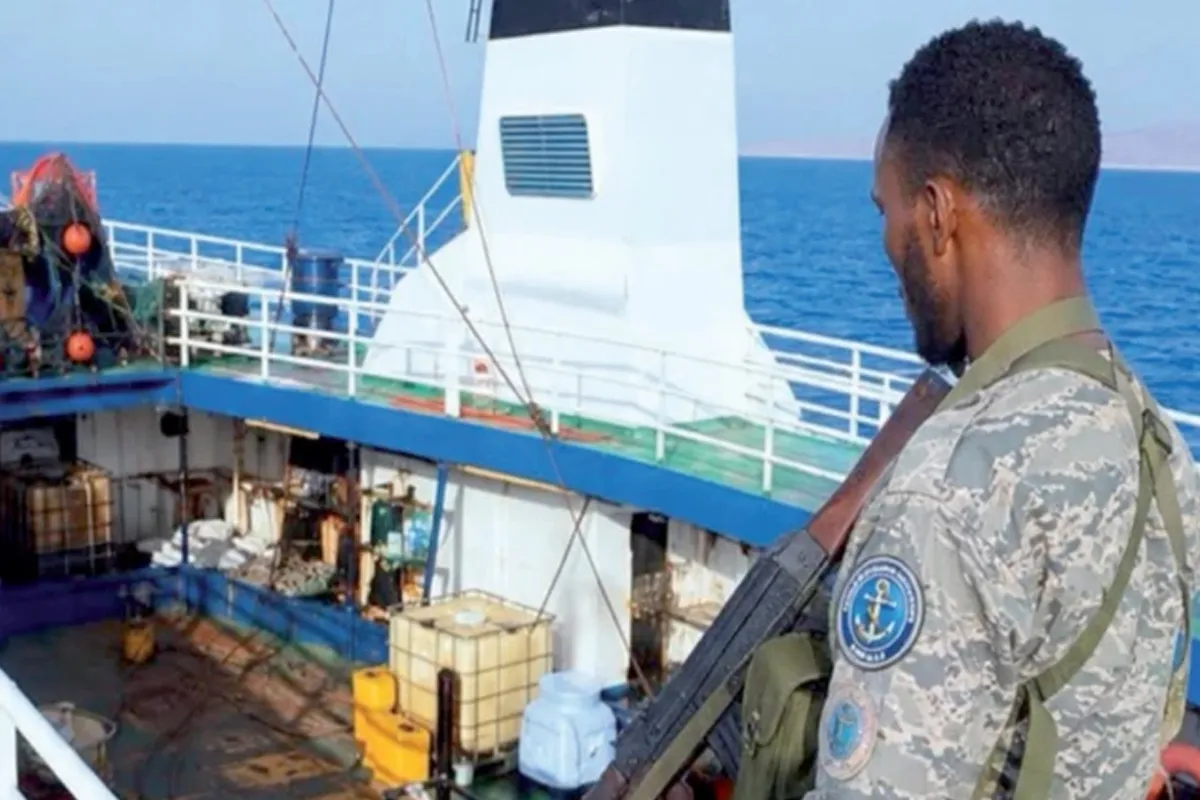 Five Hostages Killed, Including Three Pakistanis, During Somali Pirate Rescue Operation
