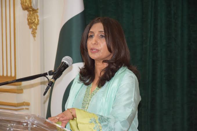 Pakistan’s 7,000-Year Cotton Heritage Highlighted at Paris Conference