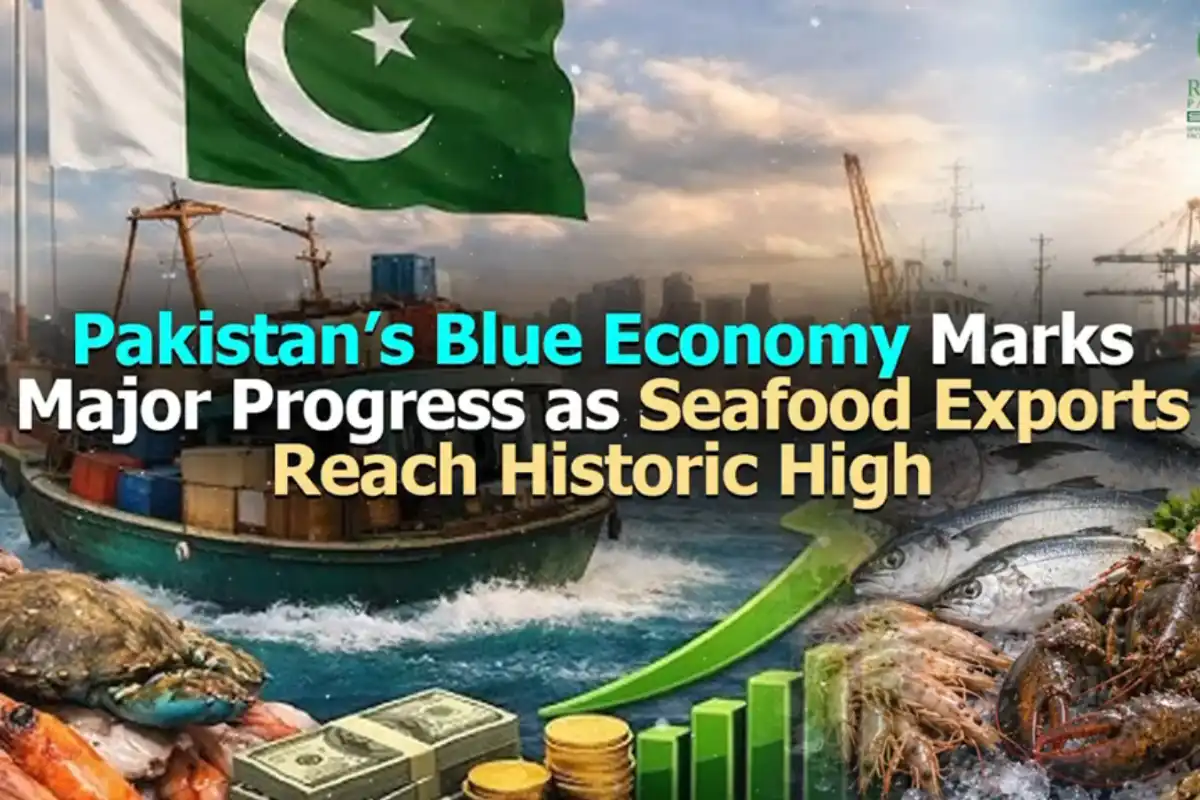 Pakistan’s Blue Economy Sees Major Boost as Seafood Exports Rise