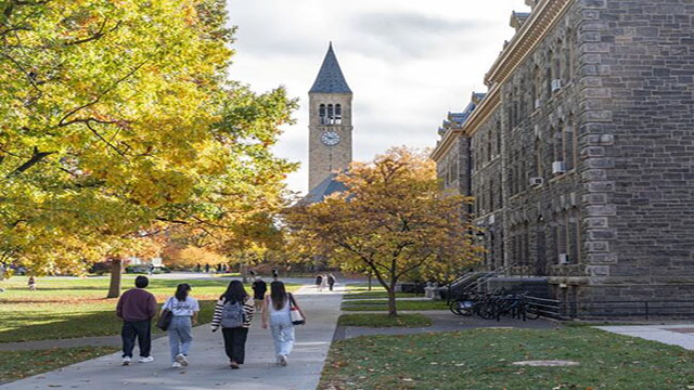 Alleged gang rape at Cornell turns spotlight on campus sexual assault