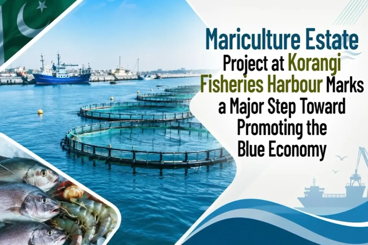 100-Acre Mariculture Estate Planned at Korangi Fisheries Harbour