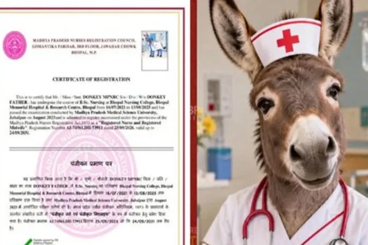 Donkey Gets Nursing Registration Certificate in India, Exposing Gaps in Online Verification System