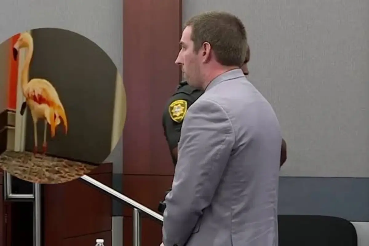 Canadian Man Found Guilty of Animal Cruelty for Stealing Flamingo in Las Vegas