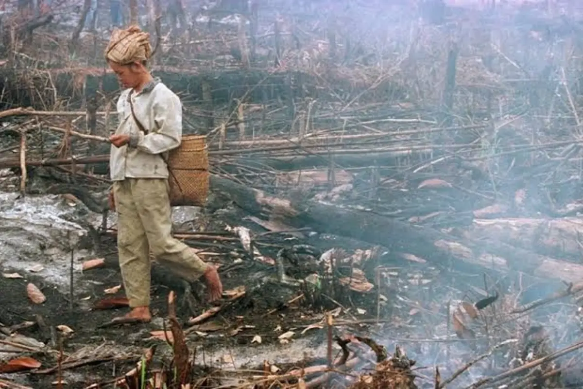 Toxic Haze from Burning Peatlands Engulfs Southeast Asia, Indonesia Faces Pressure