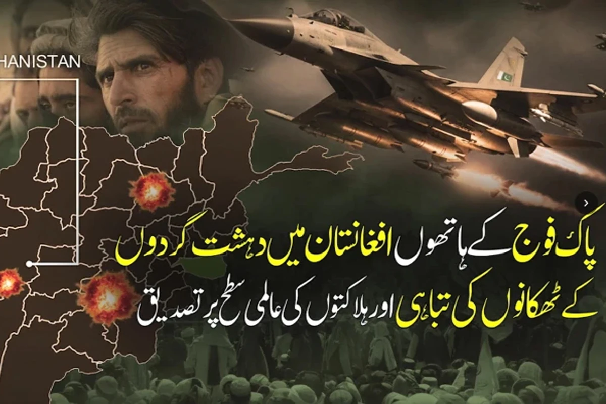 Report Cites Former CIA Officer on Pakistani Strikes Against Terrorists in Afghanistan